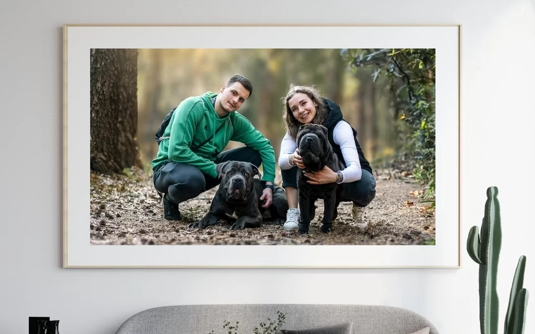 Zdjęcia zwierząt na specjalne okazje