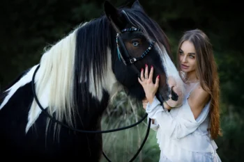 fotografia zwierząt